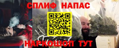 стаф Кунгур