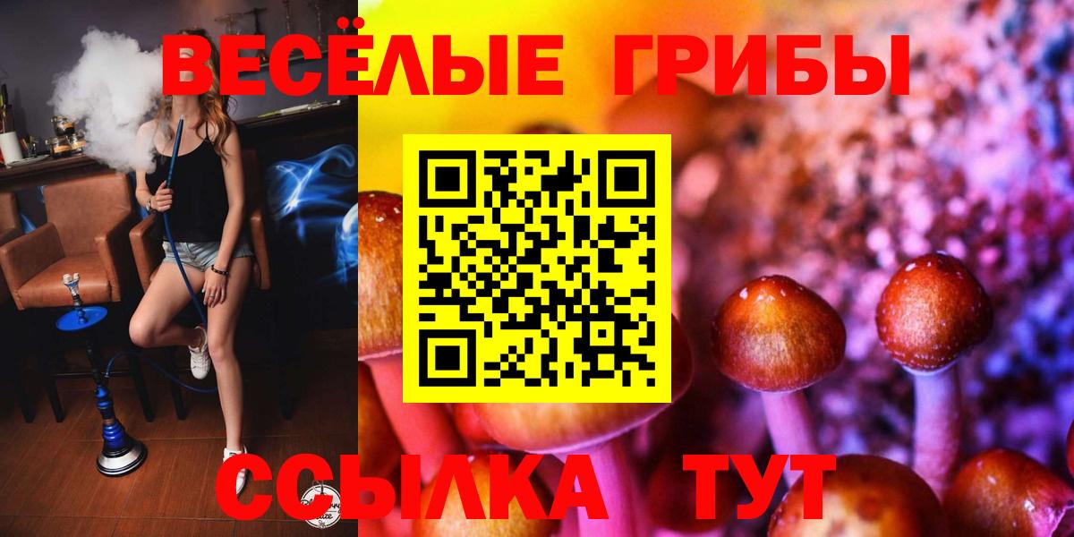Галлюциногенные грибы Magic Shrooms  Вход с VPN  Екатеринбург  Псилоцибиновые грибы MAGIC MUSHROOMS 